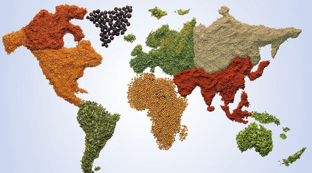 The Hidden Costs of Global Food Trade: Challenges in Exporting and Importing Food Products