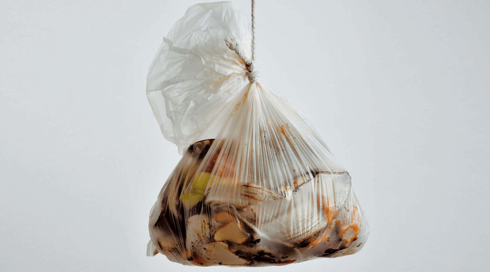 Food Waste and its Impact on the Global Food Crisis