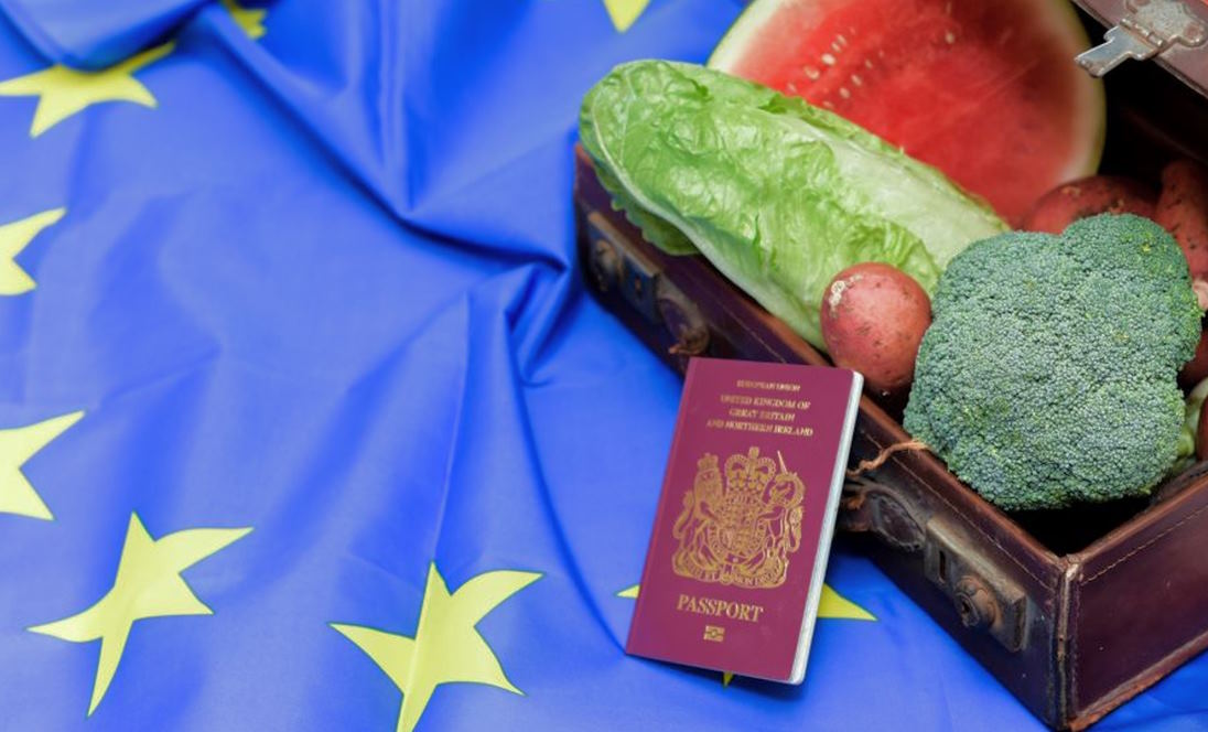 Trade Regulations and Compliance: Navigating the Import and Export Requirements for European Food