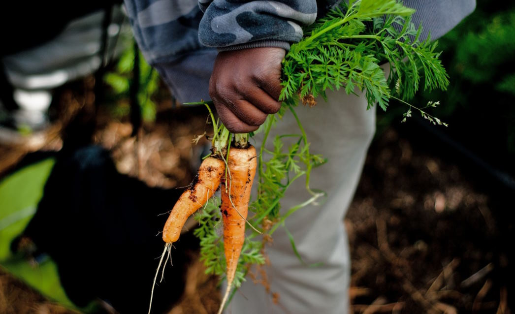 Promoting Food Justice: Ensuring Equitable Access to Nutritious Food