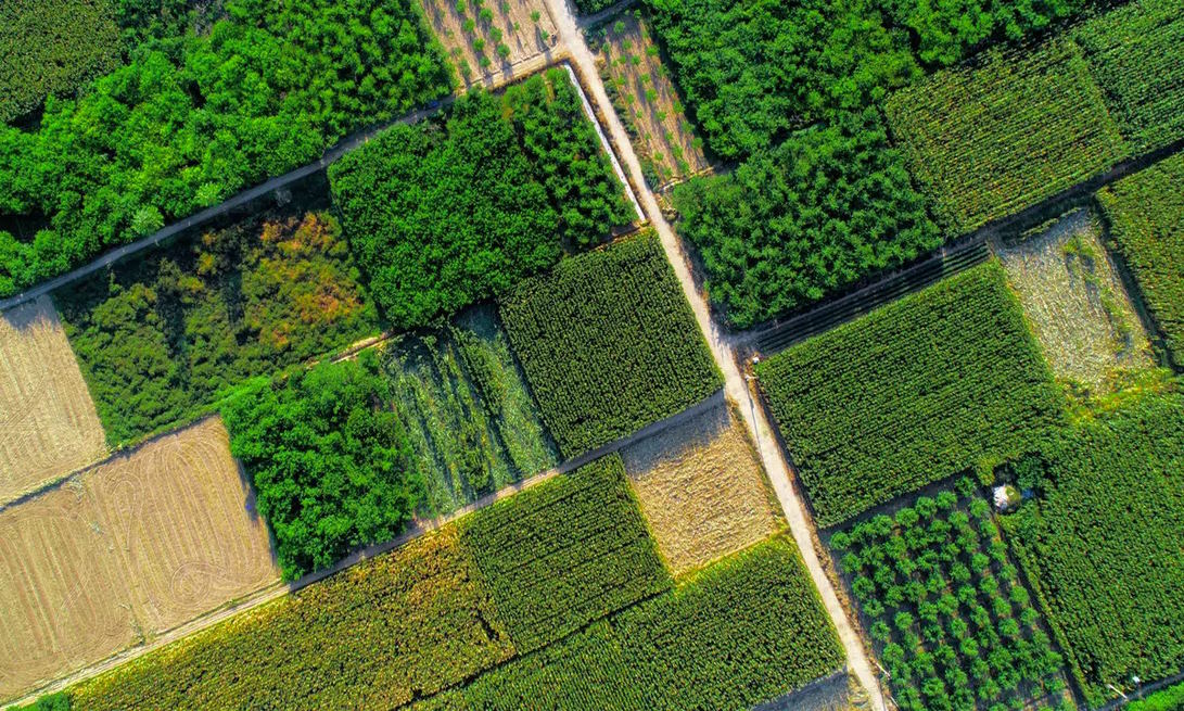agricultural productivity