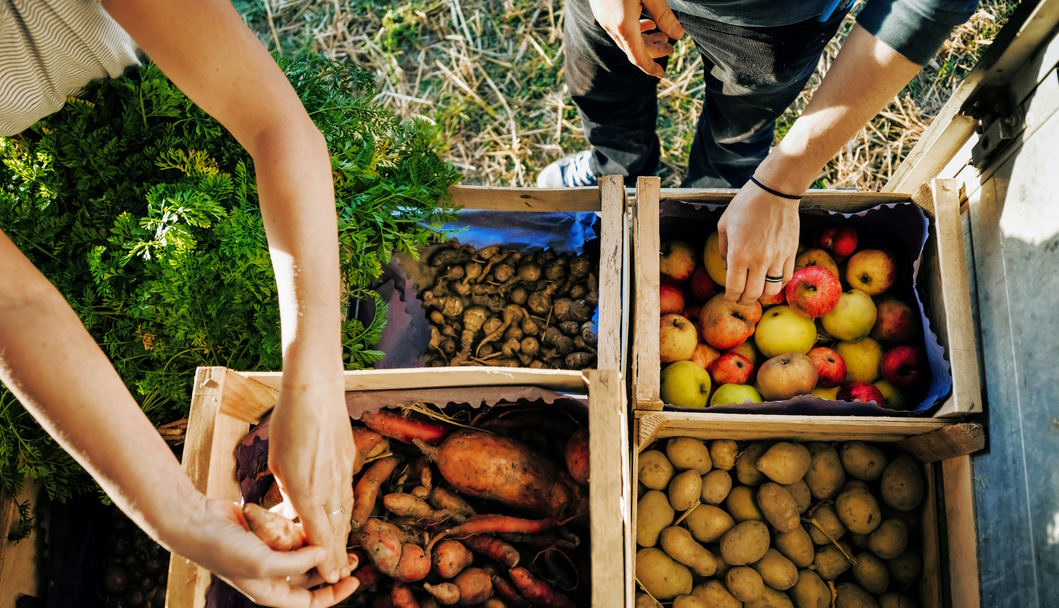 food production